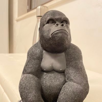 john_ics's profile picture. 🥸