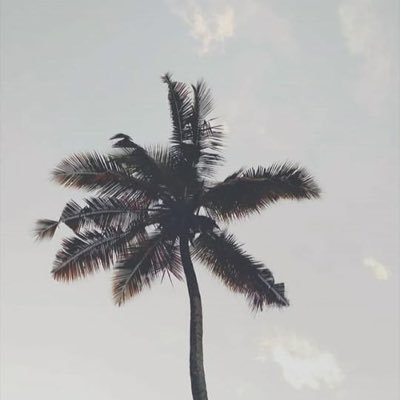 kullanmahesappp's profile picture. 