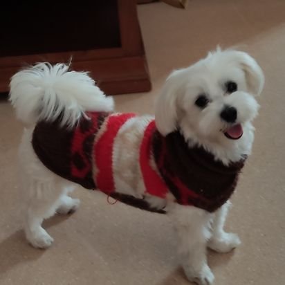 4lon3ly0's profile picture. 