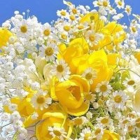 meral uğur (@meralugur_11) Twitter profile photo