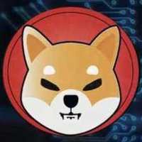 Benjamin (@benjami25169286) 's Twitter Profile