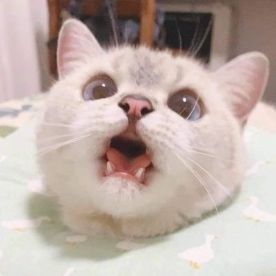 ThiriTintZaw2's profile picture. 