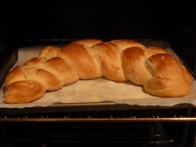 enbylvania65000's profile picture. I'm no longer on twitter
Find me on Discord:
Enbylvania (they/she/he)#1169