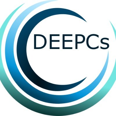 Laboratory of  Deep-sea Ecology, Evolutionary Processes and Conservation (DEEPCs) from the University of Aveiro