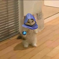 Sad (@sadonvalorant) 's Twitter Profile