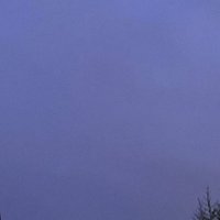 o (@olivtwu) 's Twitter Profile