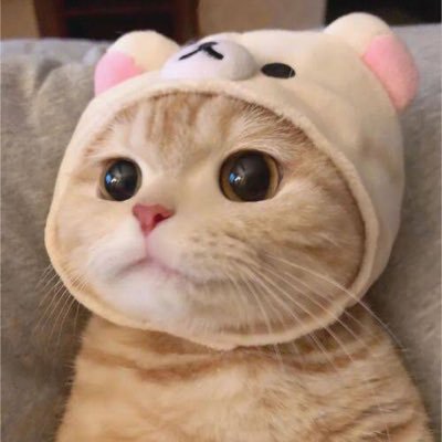 pp_cnさんのプロフィール画像