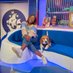 Mwaksy (@mwaksybluepeter) Twitter profile photo Mwaksy (@mwaksybluepeter) Twitter profile photo