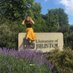 Hester Careless (@hestercareless) Twitter profile photo Hester Careless (@hestercareless) Twitter profile photo