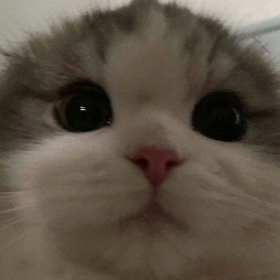 heheejink's profile picture. 구독구독