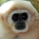 Lynn Benjamin - @Grail_Quest - Twitter