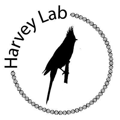 harveylab1 Profile Picture