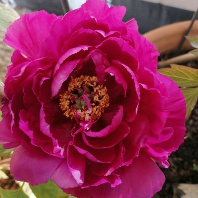 Carole65628499's profile picture. 