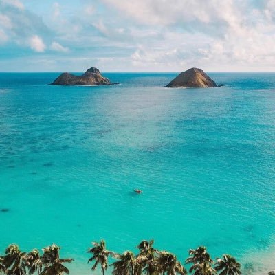 Rogerren2021's profile picture. 来自美国的边远小岛