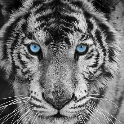 ppaulwalkar's profile picture. 