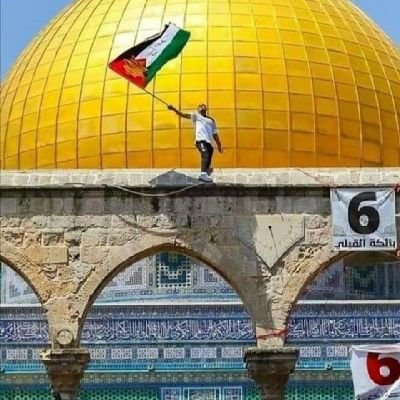 KarrayMaroua's profile picture. #انقذوا_حي_الشيخ_جراح