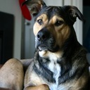 Maximus Aurelius - @the_max_factor - Twitter