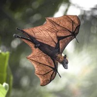 ยามเฝ้าออฟฟิต (@choptomjing) 's Twitter Profile