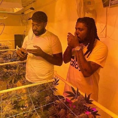 Cannabis creative producer
Life journey through art 🎭 👍