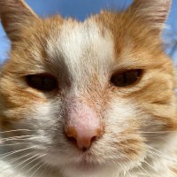 Be Positive (@8positive2) 's Twitter Profile