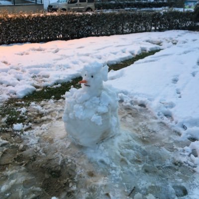 Hakanyrdd's profile picture. 