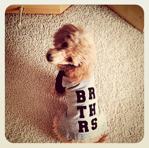 corebrothers's profile picture. We are Brothers.  Check us out at http://t.co/6Oa82aKtb1 or http://t.co/1L4wgM1AVe