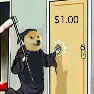 IsDogeADollar Profile Picture