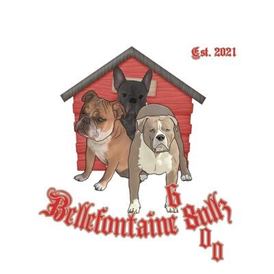 Bellly_Bulllz's profile picture. 🗣Bully THIS Bully THAT “Bellefontaine_Bullz Is Where You Get Your Bullz At”                             CEO Est.2021   STUDS🐕 Available Up & Coming