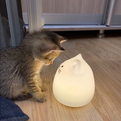 DoucePlume7's profile picture. 