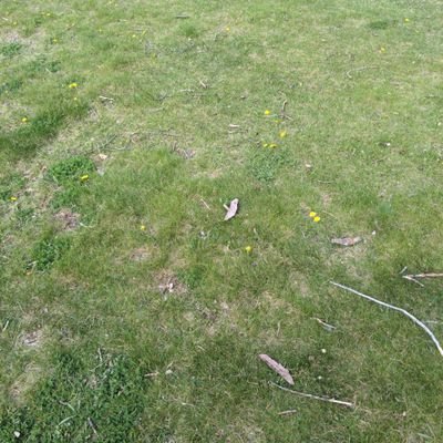 Wanchope4Eva's profile picture. 