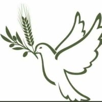 ❖•ೋ° HadiOrdan°ೋ•❖ (@hadiord53710782) 's Twitter Profile Photo ❖•ೋ° HadiOrdan°ೋ•❖ (@hadiord53710782) 's Twitter Profile Photo