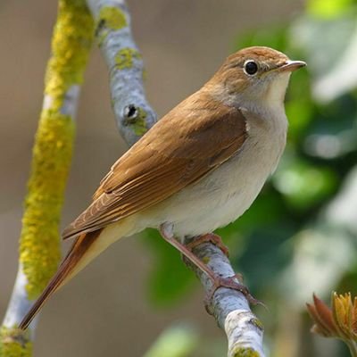 Msbh03988348's profile picture. دلم سیر شد زین سرای سپنج
خدایا مرا زود برهان ز رنج