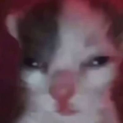 VanessaXfranco's profile picture. cool