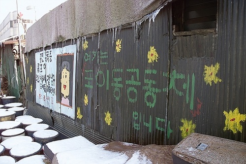 peacecamppoipoi's profile picture. 