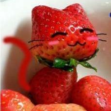 Trance49640270's profile picture. 