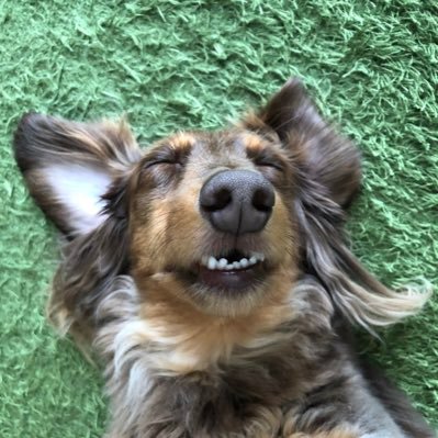 soramame787878's profile picture. #PrayForKyoani