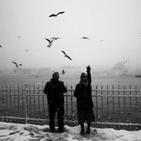 Matemî (@noktasizroman) 's Twitter Profile Photo