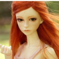 Lillu🌹► DQ♩ (@lillu01) 's Twitter Profile Photo