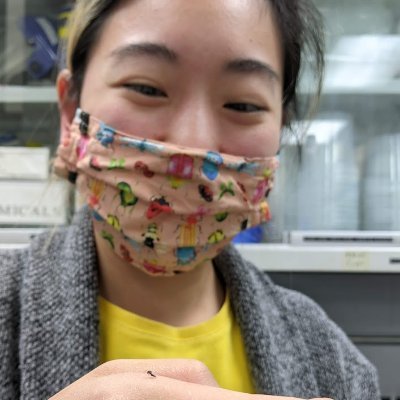 Hi! I am a MSc student at UoGuelph studying Jaliscoa hunteri as a biological control agent for the Pepper Weevil. :) 
She/her, Canadian with Taiwanese parents
