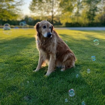 Peyton_Minder21's profile picture. 