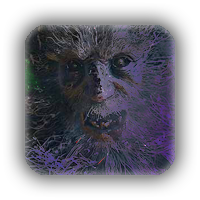 ʜᴀɪʟ ᴛᴏ ᴛʜᴇ (ꜰᴏʀᴍᴇʀ) ᴄʜɪᴇꜰ.

Pfp icon by @AscendentDeluge.

#RERP #CAPCOMRP #HORRORRP