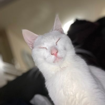 Lucy Profile