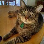 BrightonBootsy's profile picture. Washington State born.