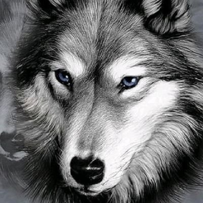 otongndifreke's profile picture. ¥|#G ¥a#G