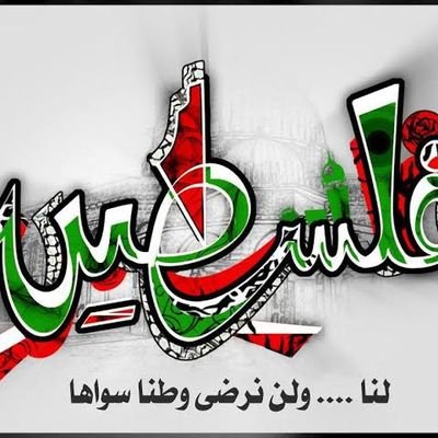 BoudgheneKawter's profile picture. ingénieur réseaux et télécommunications