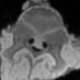 Casey Johnson (@comparativemri) Twitter profile photo Casey Johnson (@comparativemri) Twitter profile photo