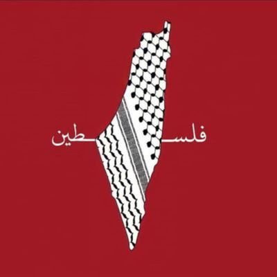 Amina11199336's profile picture. 🇵🇰🇹🇷🇪🇭🙏