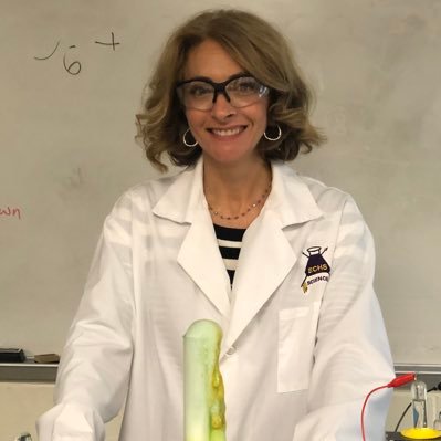 Chemistry/STEM Educator | Georgia 2017 Teacher of the Year Finalist | #PAEMST recipient 2017 | Advocate for women in STEM | @FurmanU @GeorgiaTech Alum