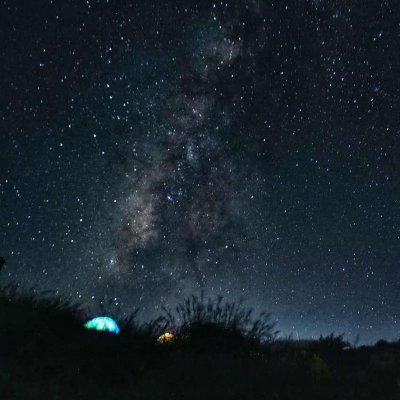 bushnerd_ryan's profile picture. 