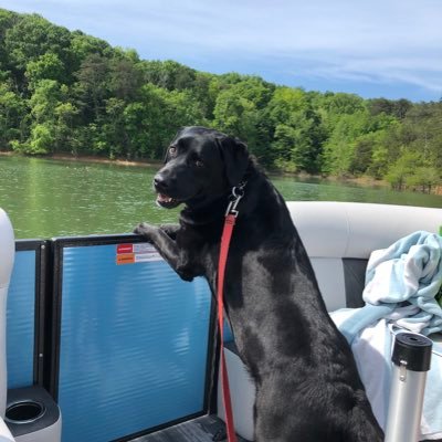 michaelpaulin's profile picture. Indiana fan.